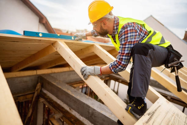 Best Roof Gutter Cleaning  in Hainesvle, IL