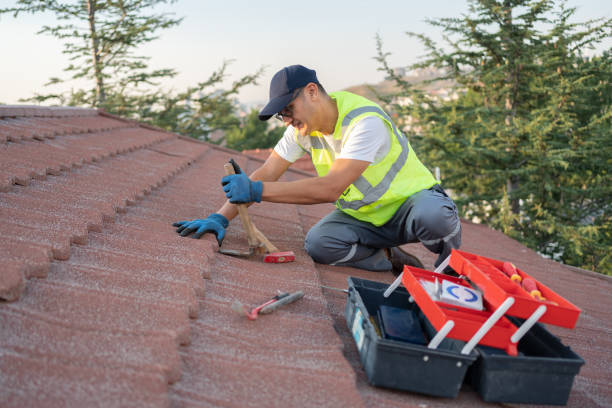 Best Affordable Roofing Company  in Hainesvle, IL