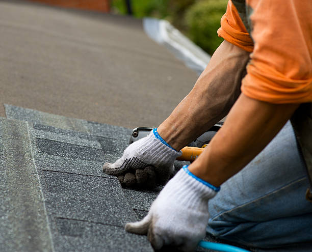 Best New Roof Installation  in Hainesvle, IL