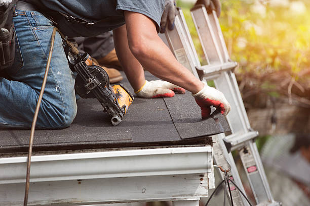 Best Commercial Roofing Services  in Hainesvle, IL