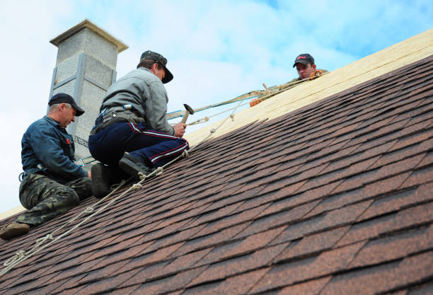 Best Storm Damage Roof Repair  in Hainesvle, IL