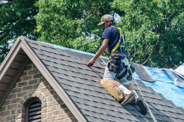 Best Emergency Roof Repair  in Hainesvle, IL